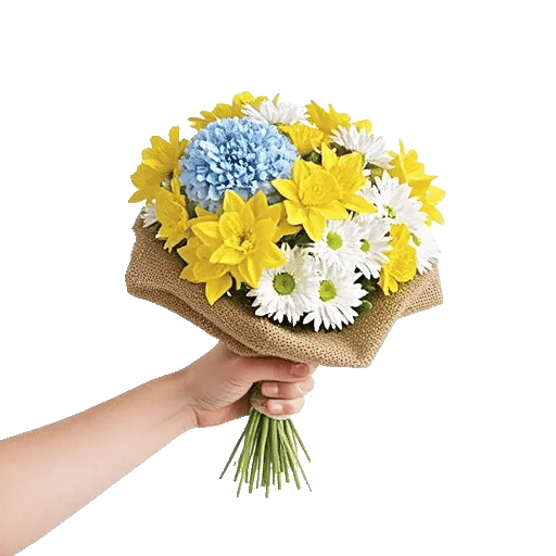 Blossom Petal Serenity