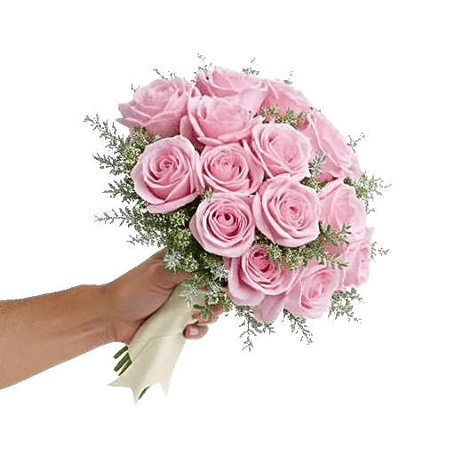 Pastel Pink Roses