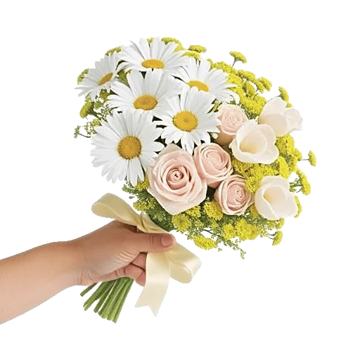 Enchanting Daisy Garden