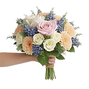 Pastel Pink Roses