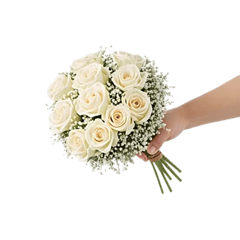 Ivory Garden Grace
