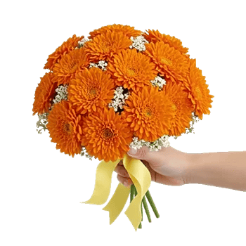 Vibrant Orange Delight