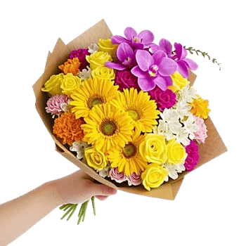 Blossom Harmony Display