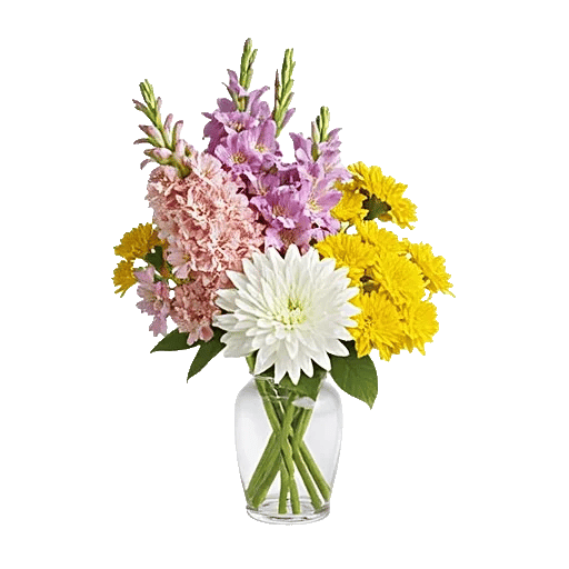 Petal Radiance Bliss