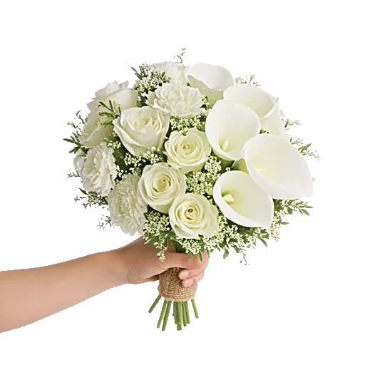 Ivory Garden Grace