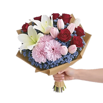 Pastel Pink Roses
