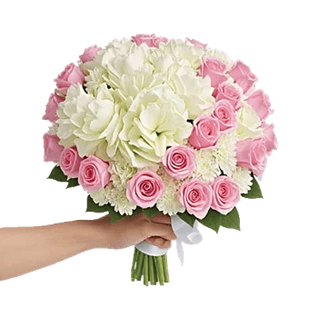 Serene Petal Harmony