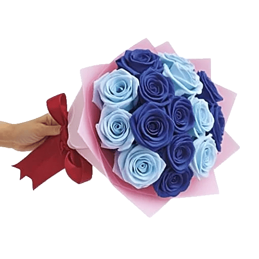 Elegant Blue Roses