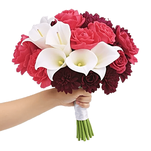 Elegant Calla Lilies