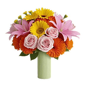 Petal Radiance Bliss