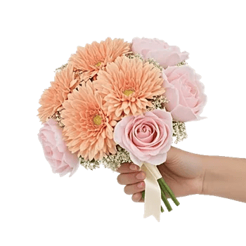 Peony Petal Harmony
