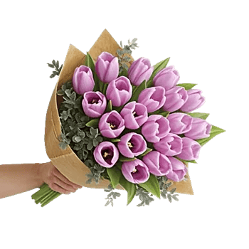 Velvet Tulip Display