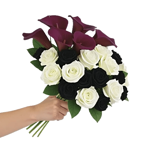 Elegant Calla Lilies