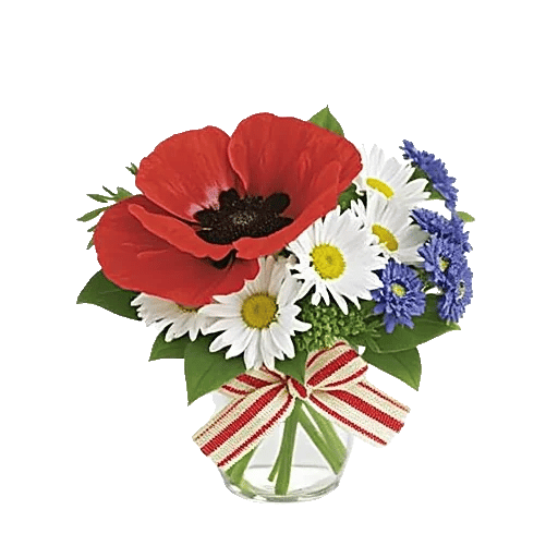 Petal Radiance Bliss