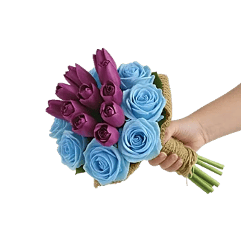 Plum Blossom Radiance