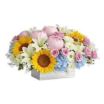 Blooming Serenity Display