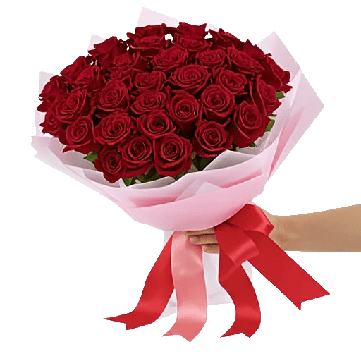 Crimson Rose Elegance