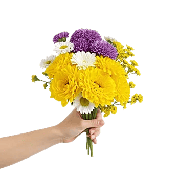 Delicate Petal Cascade