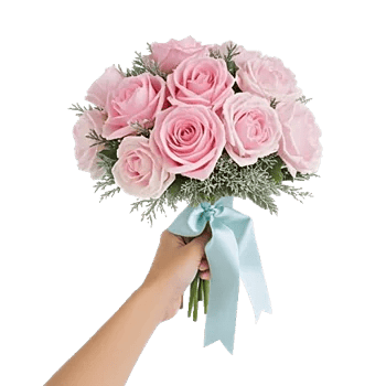 Pastel Pink Roses