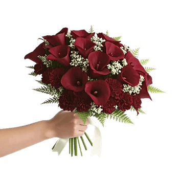 Elegant Calla Lilies