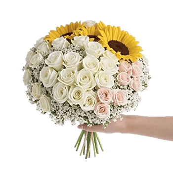 Petal Grace Harmony
