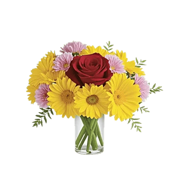 Golden Petal Harmony