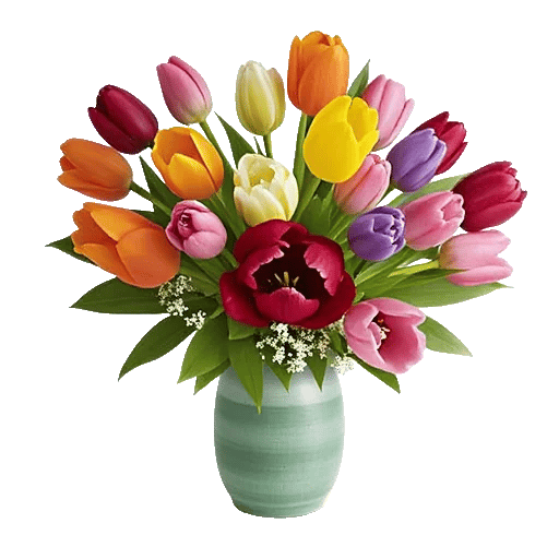 Velvet Tulip Display