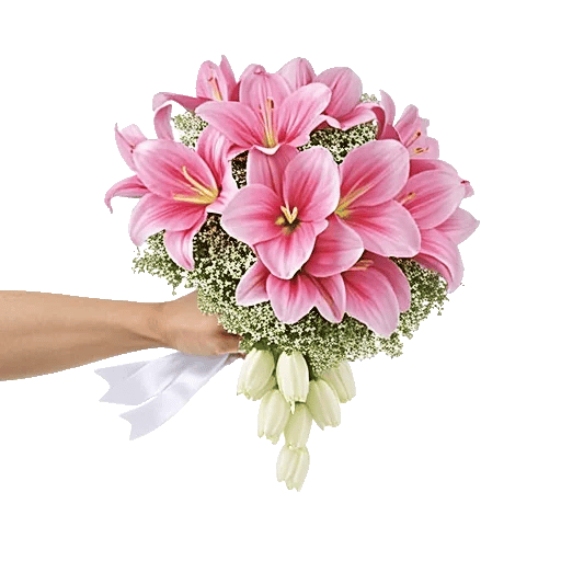 Elegant Calla Lilies