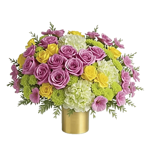 Blushing Rose Symphony