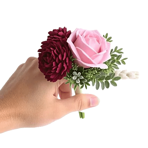 Plum Blossom Radiance