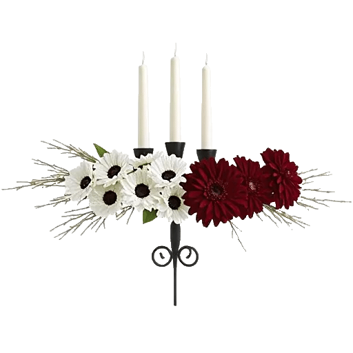 Elegant Calla Lilies