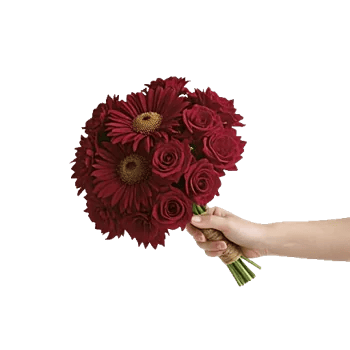 Ruby Petal Cascade