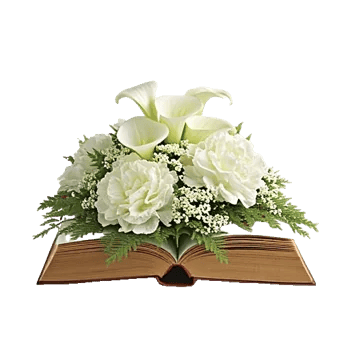 Elegant Calla Lilies