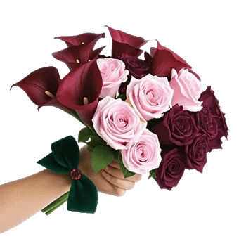 Elegant Calla Lilies