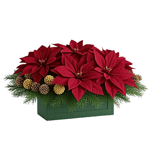 Petal Radiance Bliss