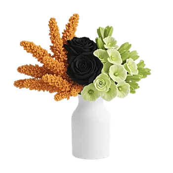 Petal Radiance Bliss