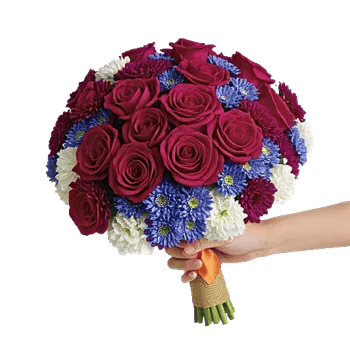 Blushing Rose Symphony