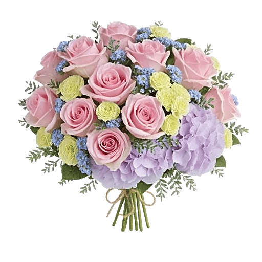 Pink Pastel Roses