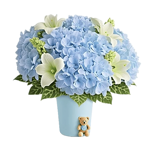 Serene Petal Harmony