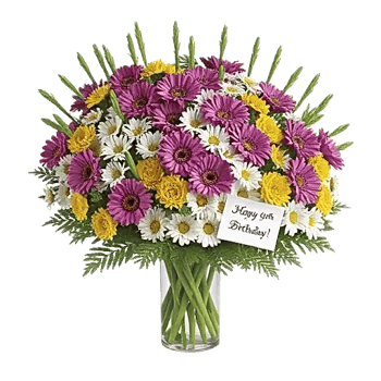 Enchanting Daisy Garden