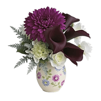 Elegant Calla Lilies