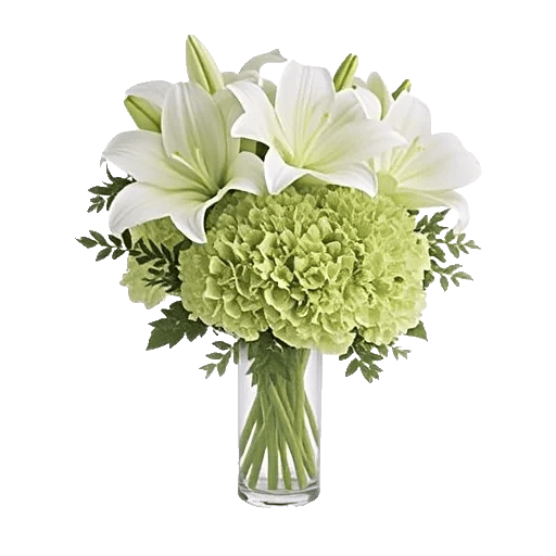 Ivory Blossom Radiance