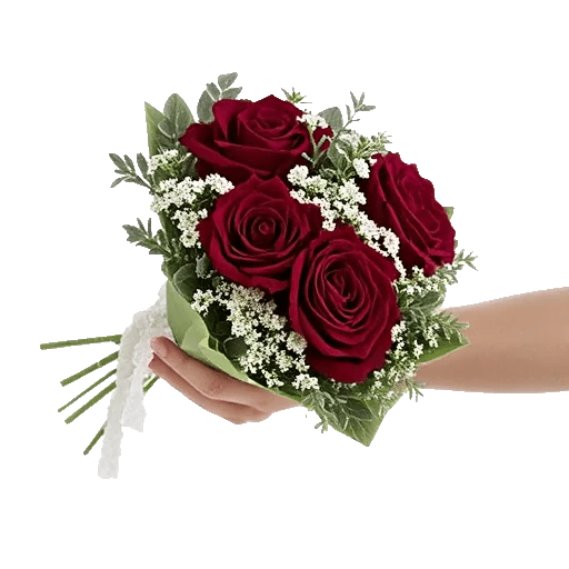 Crimson Rose Elegance