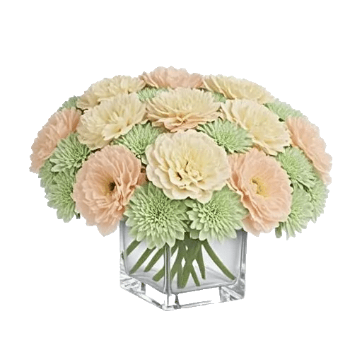 Petal Radiance Bliss