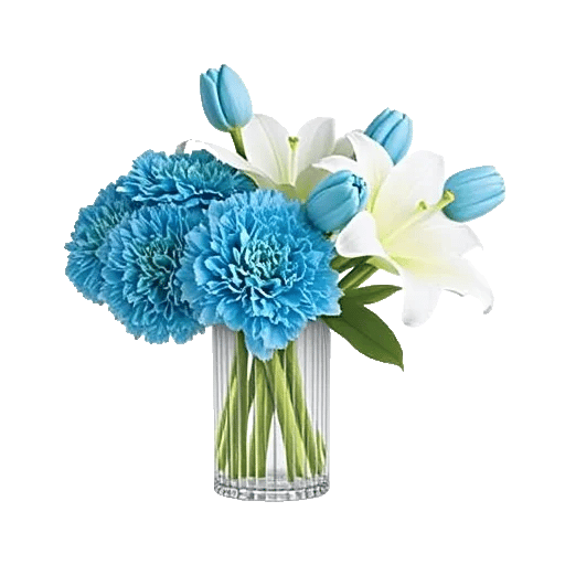 Ivory Blossom Radiance