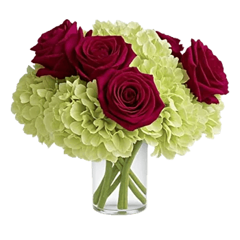 Crimson Blossom Harmony