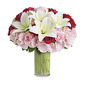 Graceful Lily Display