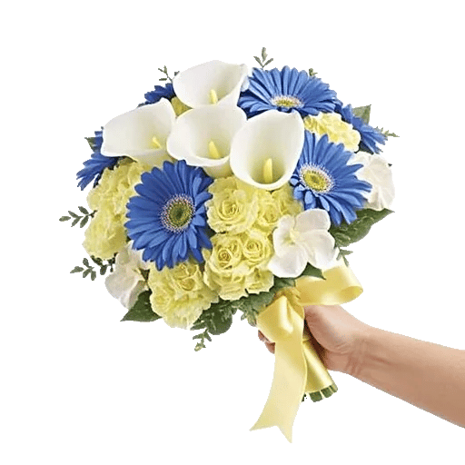 Elegant Calla Lilies