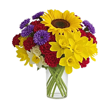 Radiant Bloom Cascade