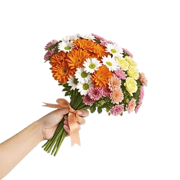 Petal Harmony Bliss
